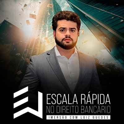 Mentoria Luiz Guedes